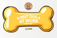 Best Dog At Work Badge Template Label