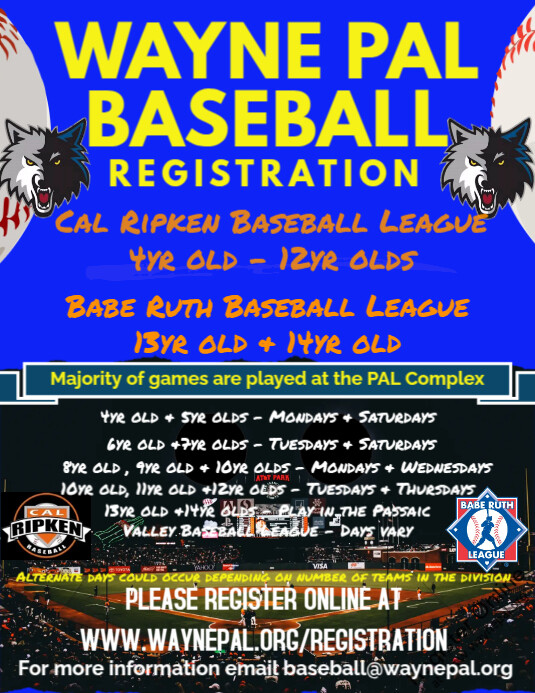 Copy of Baseball Signup Flyer | PosterMyWall
