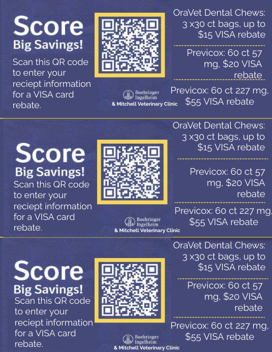 BI QR CODE VOUCHER Flyer (US Letter) template