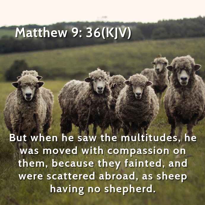 Bible Quote Template | PosterMyWall