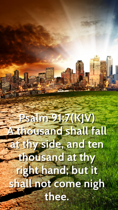 Download Zitat whatsapp For Free Zitat Whatsapp