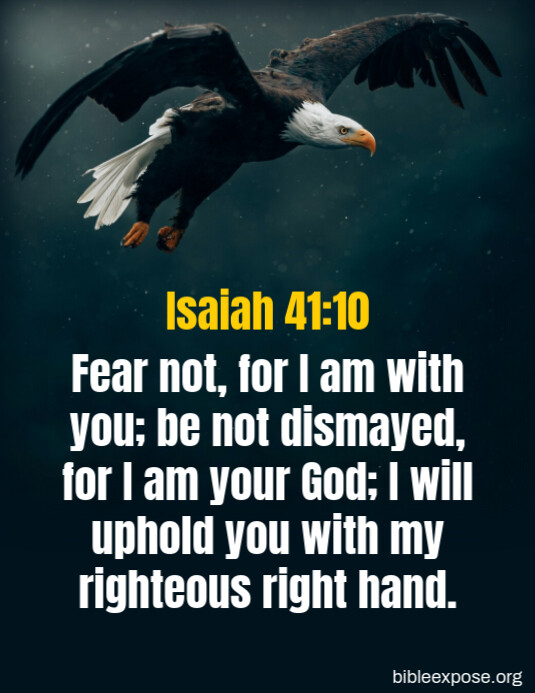 Bible Verse Ad Template Pamflet (VSA Brief)