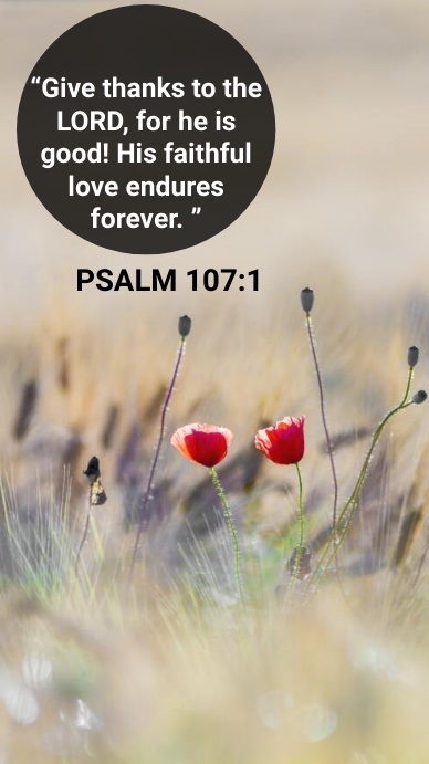 Bible Verse Instagram-verhaal template