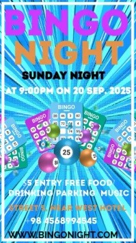 Bingo Night Instagram Story template