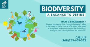 Biodiversity Facebook Shared Image Post template