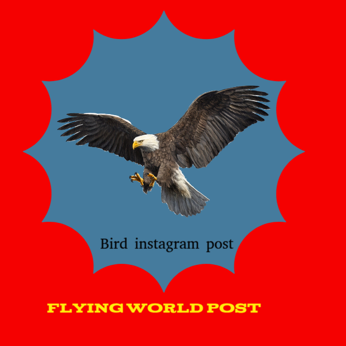 Plantilla de bird instagram post | PosterMyWall