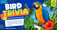 Biru Parrot Trivia delt Facebook-billede Template