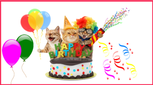 BIRTHDAY YouTube-miniature template