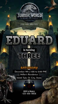 Birthday Instagram Story template