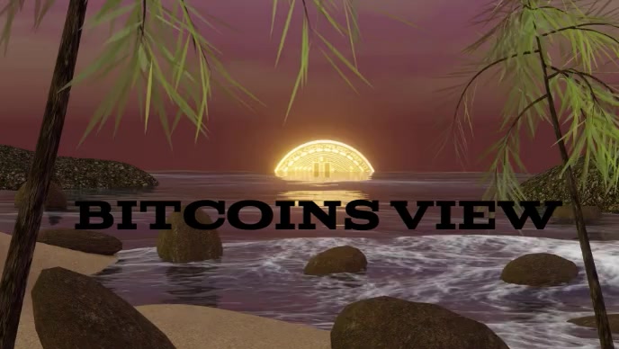 Bitcoins view Template | PosterMyWall