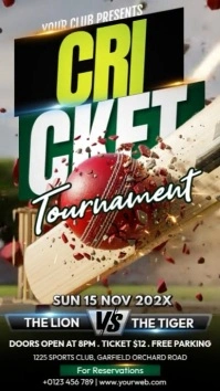 Black 3d Cricket Tournament Instagram Story template