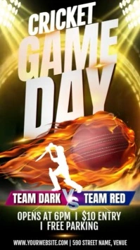 Black 3d Cricket Tournament Instagram Story template