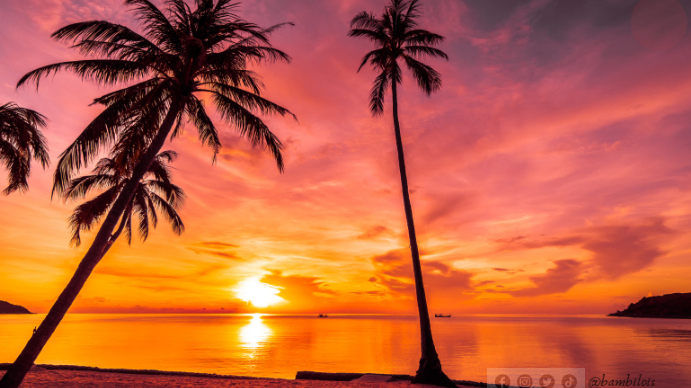 Black Abstract Sunset Digital Display (16:9) Template | PosterMyWall