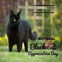 National Black Cat Appreciation Day Instagram Template | PosterMyWall