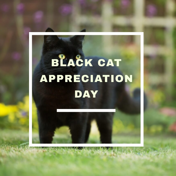 Copy of BLACK CAT APPRECIATION DAY | PosterMyWall