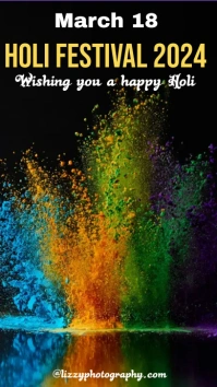 Black Elegant Happy Holi Greeting flyer Digital Display (9:16) template