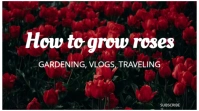 Black Floral How To Grow Roses Youtube Thumbnail template