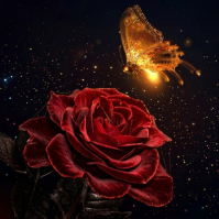 Negro Romantic Album Cover Album Cover Template
