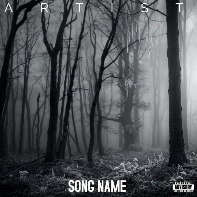 Black Grunge Album Cover Album Cover Template | PosterMyWall