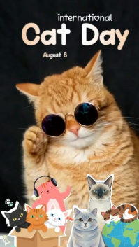 Czarny International Cat Day Ekran reklamowy Template