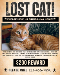 Black Joyful Lost Cat Wanted Instagram Portrait template