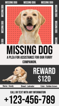 Black Joyful Missing Dog 2025 Instagram Story template
