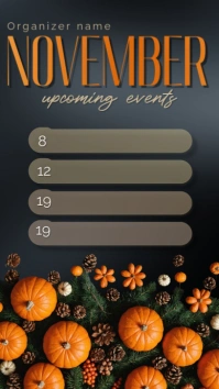 Black Joyful November Instagram Story template