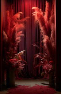 Black  Maternity Photoshop Backdrop Tabloid Poniekoerant template