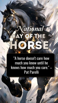 Black Maximalist National Day Of The Horse  Digital Display (9:16) template