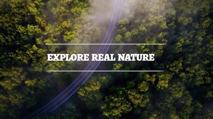 Black Maximalist Nature Digital Display (16:9) template