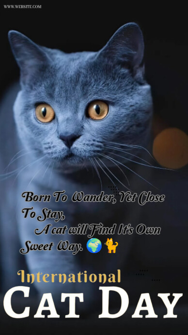 Black Maximalist The Overall Impression Is One Of Gentle Curiosity, Beauty, And A Celebration Of Cat Instagram Story template