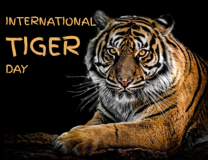 Black Modern & Minimal International Tiger Day Flyer (us Letter) template