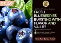 Bluberies promo video template A4