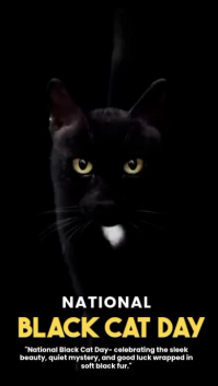 Nero National Black Cat Day Rolka Instagram Template