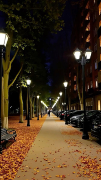 Black Modern & Minimal Romantic Evening Street Background Digital Display (9:16) template