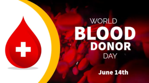 红色 World Blood Donor Day Digitalt display Template