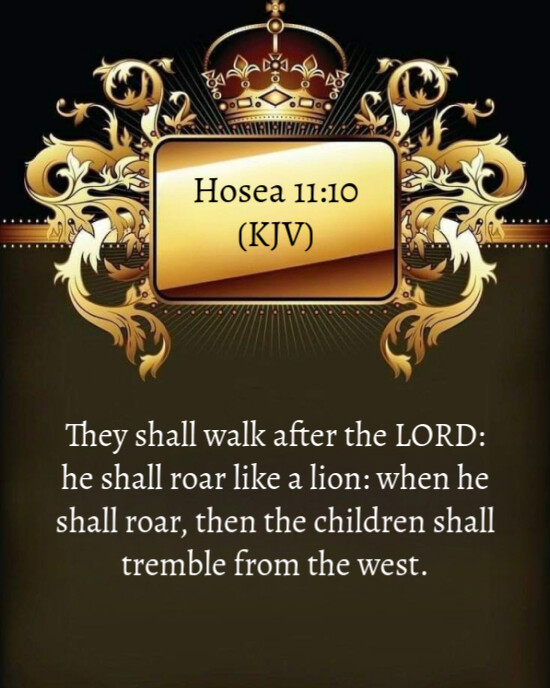 Black Modern & Minimal Hosea 11:10 Today's Bible Inspirational Quote Instagram Portrait template