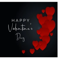 Black Profesional Valentin Logo template