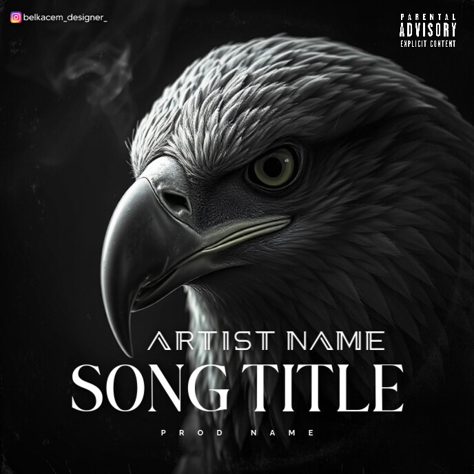 Black Professional Aigle  Album Cover Capa de álbum template