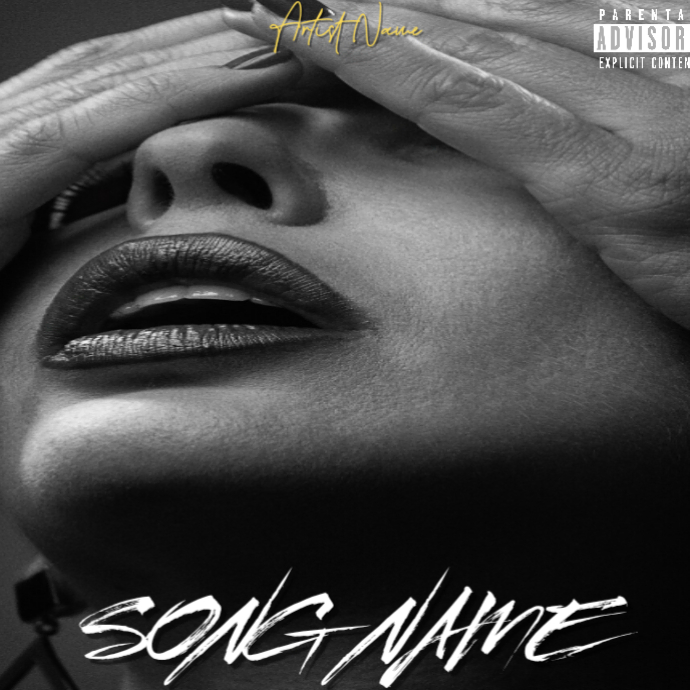 Black Professional Album Cover Album Cover Template | PosterMyWall