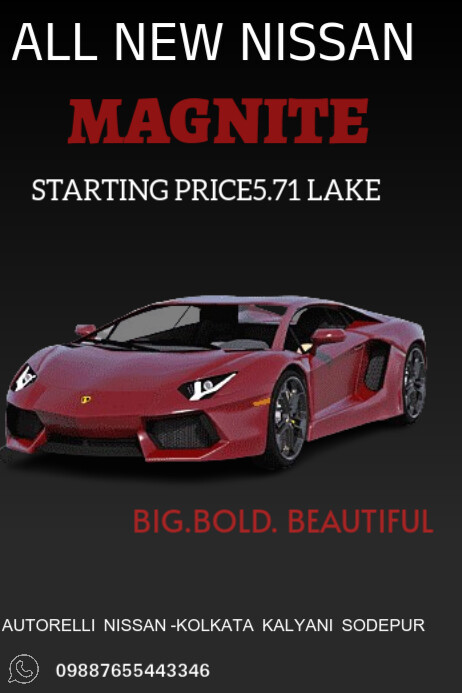 Black Professional Car  Poster Plakkaat template