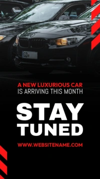 Black Professional Car Rental Instagram Story template
