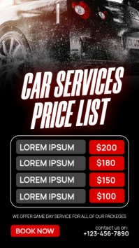 Black Professional Car Wash Services Instagram Story Instagram-Story template