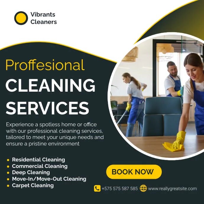 Black Professional Cleanig Services Instagram template