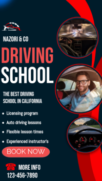 Black Professional Driving School Promotion Instagram Story template