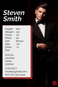 Black Professional Model Poster Affiche template