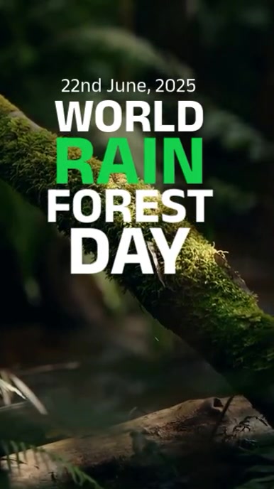 Black Professional World Rainforest Day Instagram Reel template