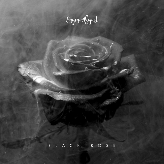 Dark Roses Cover Dark Rose Cover Photos
