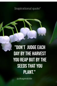 Black Typographic Inspirational Quote  Pinterest Graphic template