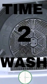 Black Typographic Laundry  Whatsapp Status template